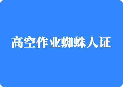 狠狠地插女人的骚逼高空作业蜘蛛人证